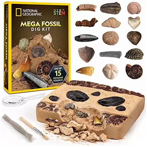National Geographic Fossil Dig Kit