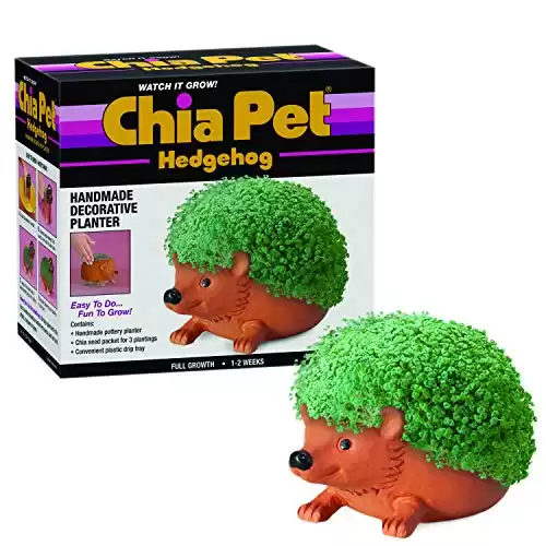 Chia Pet Hedgehog Pottery Planter